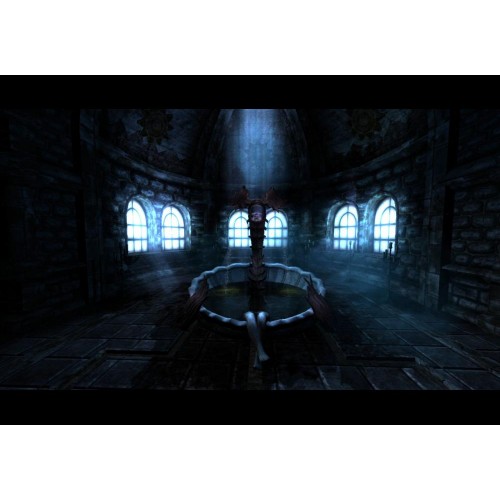 Amnesia The Dark Descent (Pád do temnoty)