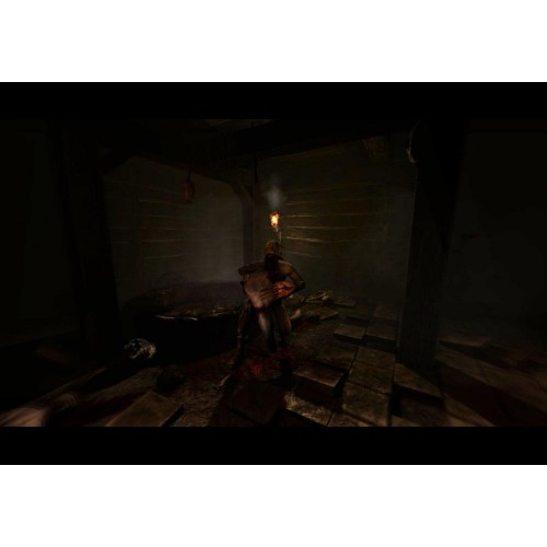 Amnesia The Dark Descent (Pád do temnoty)