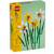 LEGO® Narcisy
