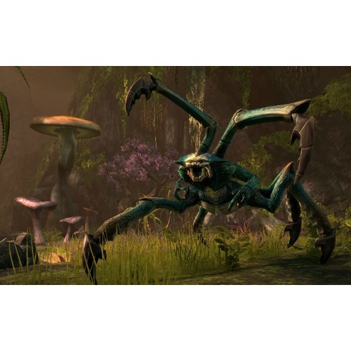 The Elder Scrolls Online