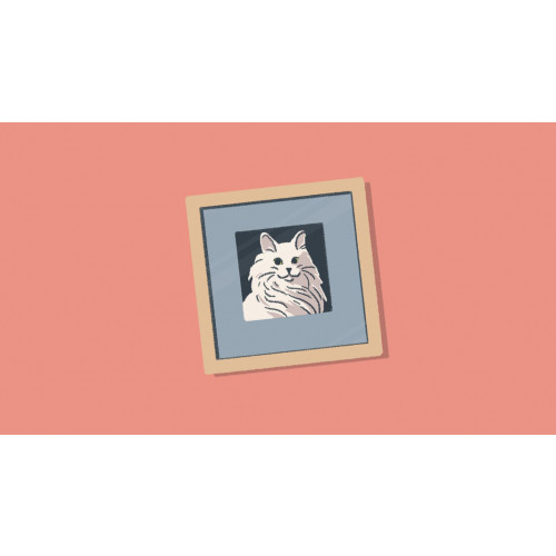 A Little to the Left: Extra Tidy Edition