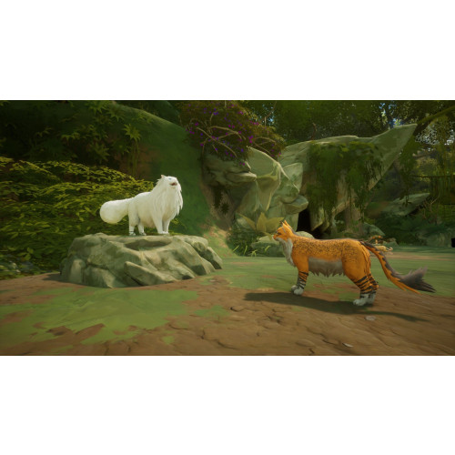 Warrior Cats: Clans of the Forest