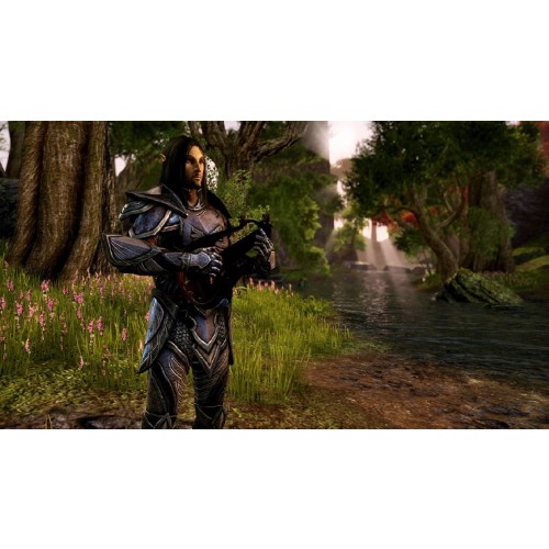 The Elder Scrolls Online