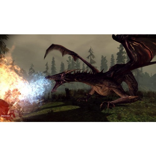 Dragon Age Origins