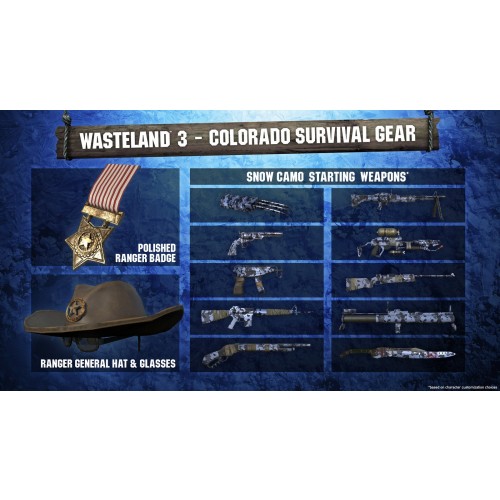 Wasteland 3 (D1 Edition)