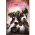 ARMORED CORE VI FIRES OF RUBICON Deluxe Edition