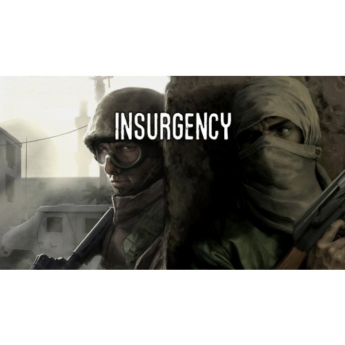 Insurgency