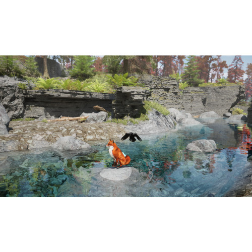 Spirit of the North 2