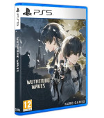 Wuthering Waves Deluxe Collection