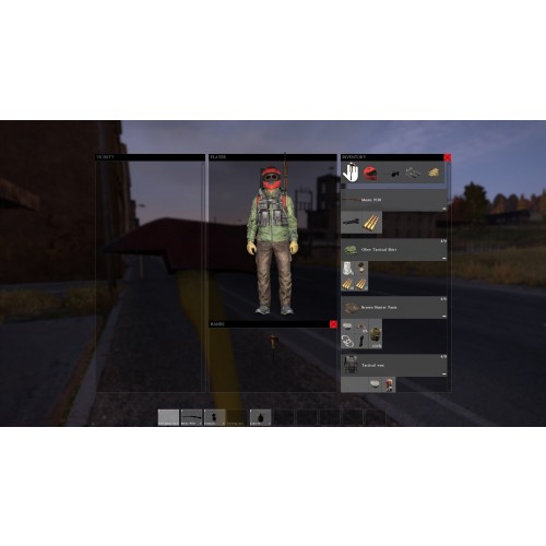 DayZ