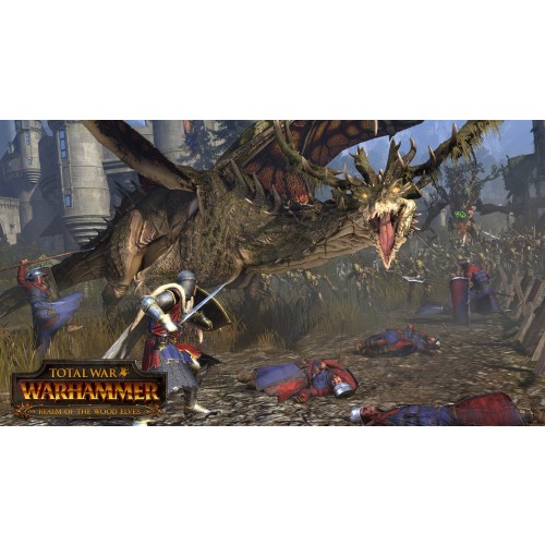 Total War WARHAMMER Realm of The Wood Elves
