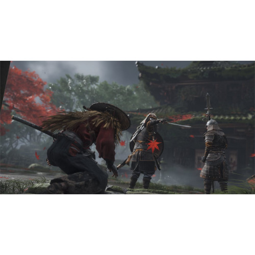 Ghost of Tsushima (Director’s Cut)