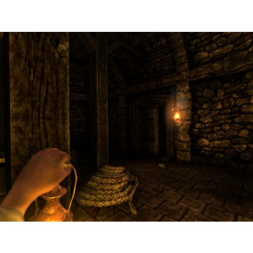 Amnesia Collection