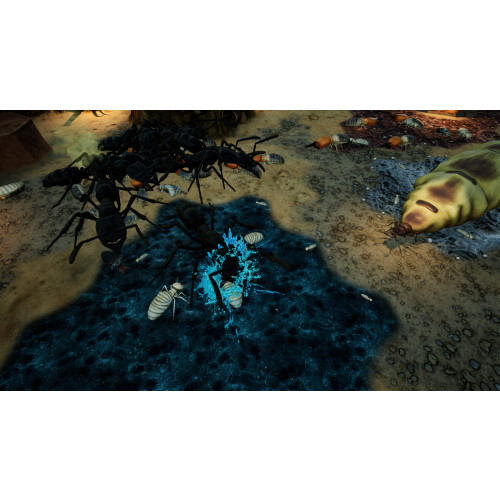 Empires of the Undergrowth - Exploding Ants