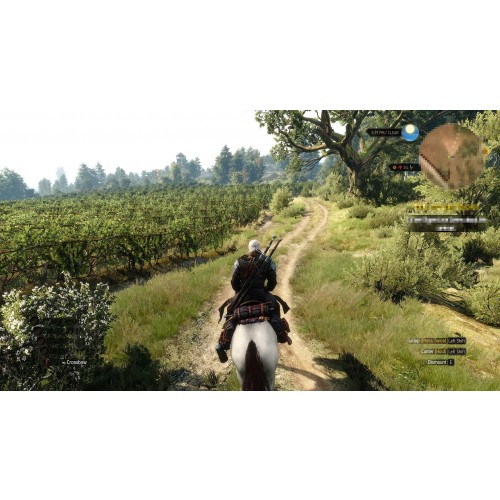 The Witcher 3 Wild Hunt Hearts of Stone 