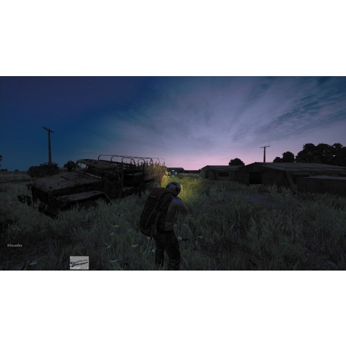 DayZ