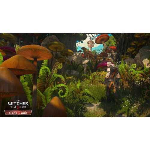 The Witcher 3 Wild Hunt - Blood and Wine