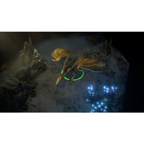 Pathfinder: Wrath of the Righteous Limited Ed.