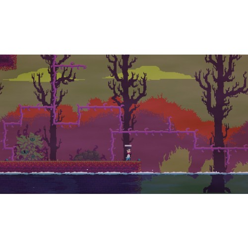 What Lies in the Multiverse