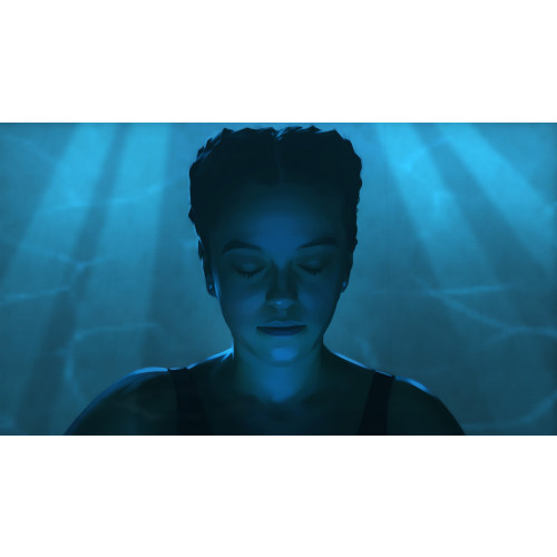 As Dusk Falls Special Edition