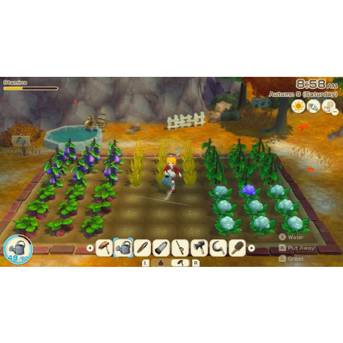 Story of Seasons Grand Bazaar Limited Edition
