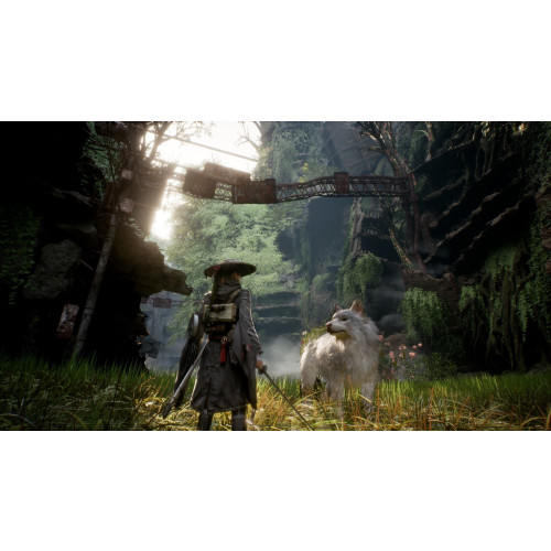 Beast of Reincarnation Deluxe Edition