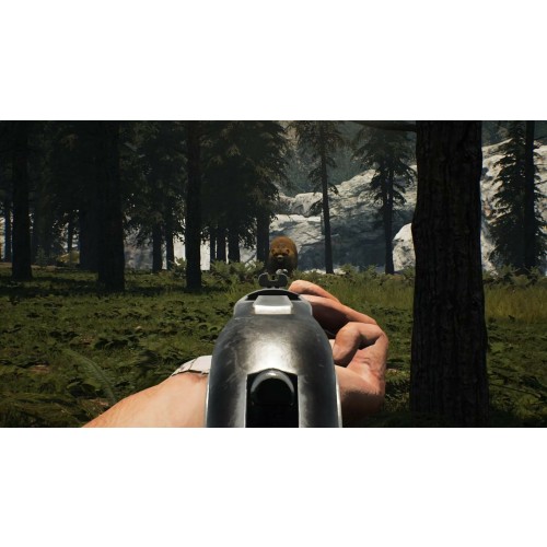 Ranch Simulator