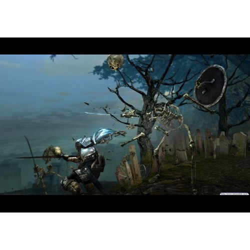 Dark Souls Prepare To Die Edition