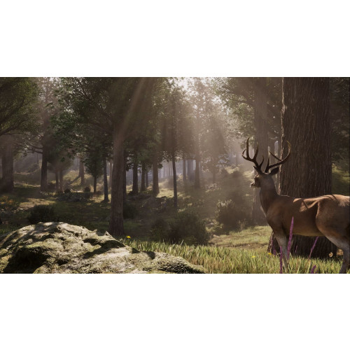 The Elder Scrolls IV: Oblivion Remastered Deluxe