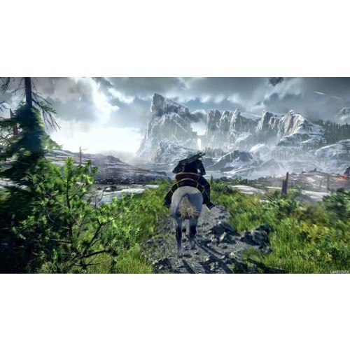 The Witcher 3 Wild Hunt Hearts of Stone 