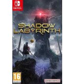 Shadow Labyrinth