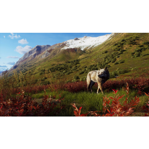 Way of the Hunter Wild Expeditions