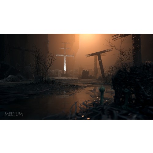 The Medium: Two Worlds Special Edition PC