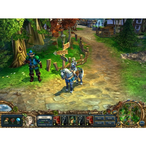 Kings Bounty Armored Princess