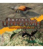 Empires of the Undergrowth - Exploding Ants